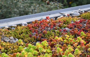 the cost of Shawsburn green roof installation