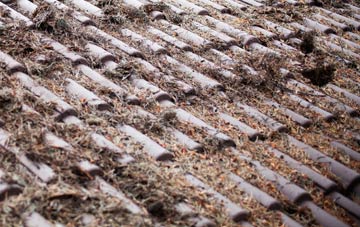 Shawsburn roof cleaning companies